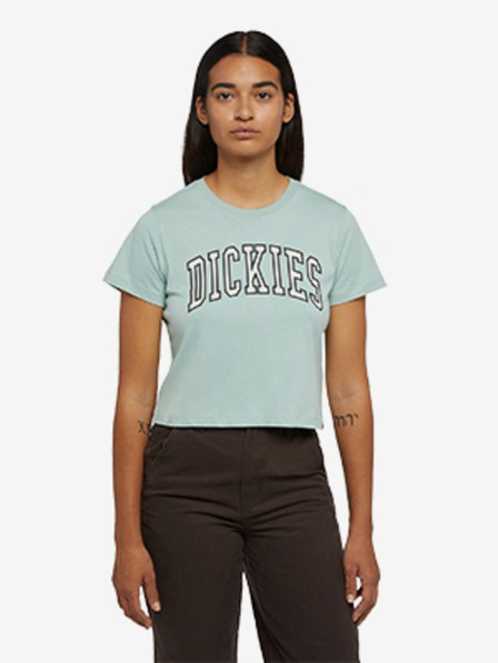 Dickies Aitkin T-Shirt