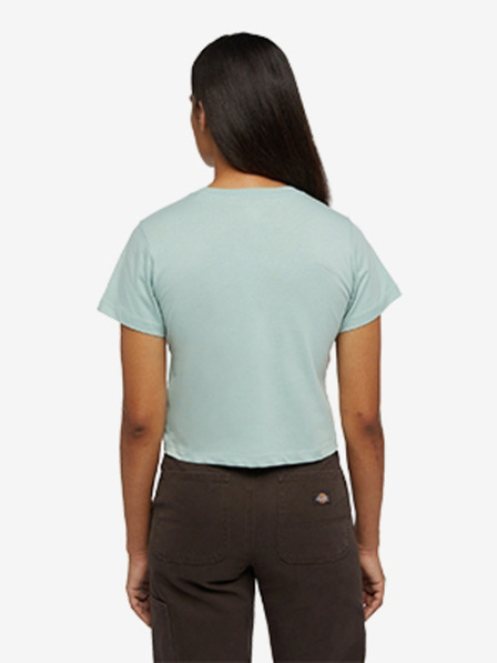 Dickies Aitkin T-Shirt