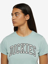 Dickies Aitkin T-Shirt