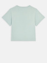 Dickies Aitkin T-Shirt