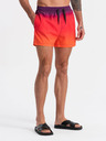 Ombre Clothing Bikini