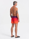 Ombre Clothing Bikini