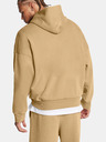 Under Armour Herren Hoodie Under Armour UA Icon HWT Flc Wash OS Hood-BRN