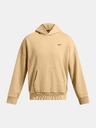 Under Armour Herren Hoodie Under Armour UA Icon HWT Flc Wash OS Hood-BRN