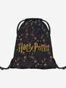 BAAGL  Blauer Baagl Harry Potter Harry Potter Pobert's Planner