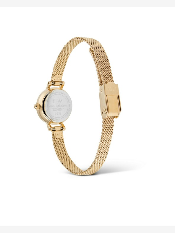 Daniel Wellington Petite Mini 19 Evergold Watch