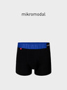 Atlantic Herren Boxershorts ATLANTIC PREMIUM mit Mikromodal