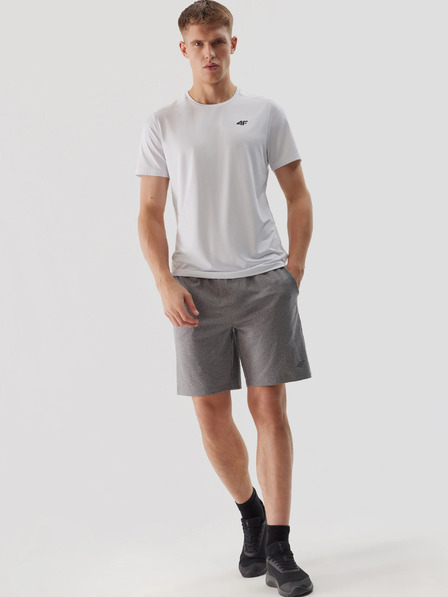 4F Schnell trocknende Herren-Sportshorts 4F