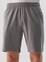4F Schnell trocknende Herren-Sportshorts 4F