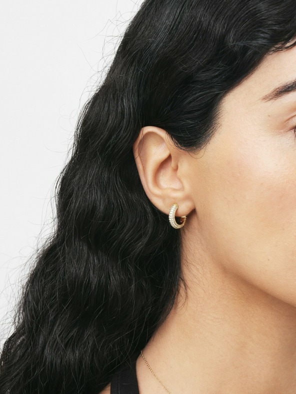 Daniel Wellington Damen Gold Stahl Kreise Ohrringe Daniel Wellington