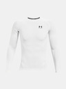 Under Armour Herren-Kompressionsshirt Under Armour HG Armour Comp LS
