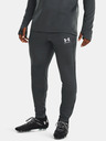 Under Armour Herren Under Armour UA M's Ch. Train Hose