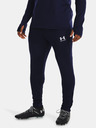 Under Armour Herren Under Armour UA M's Ch. Train Hose
