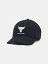 Under Armour Herren Under Armour Project Rock Trucker Kappe