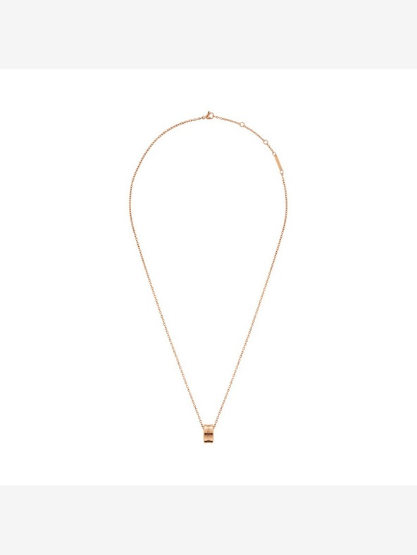 Daniel Wellington Daniel Wellington Elan Stahl-Halskette für Frauen
