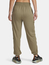 Under Armour Under Armour Meridian Cargo-Jogger für Frauen