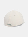 Under Armour Herren Under Armour M BLITZING STR Mütze
