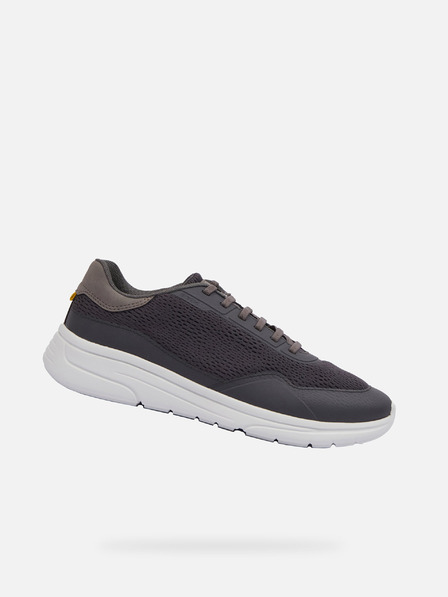 Geox Dunkelgrau Herren Geox Klaiver Turnschuhe