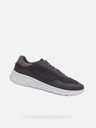 Geox Dunkelgrau Herren Geox Klaiver Turnschuhe