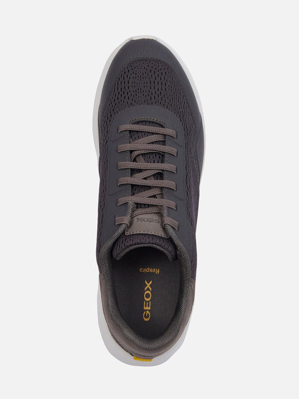 Geox Dunkelgrau Herren Geox Klaiver Turnschuhe