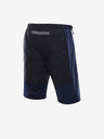 ALPINE PRO Herren Dwr-Shorts ALPINE PRO GINAR blau