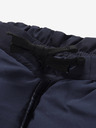 ALPINE PRO Herren Dwr-Shorts ALPINE PRO GINAR blau