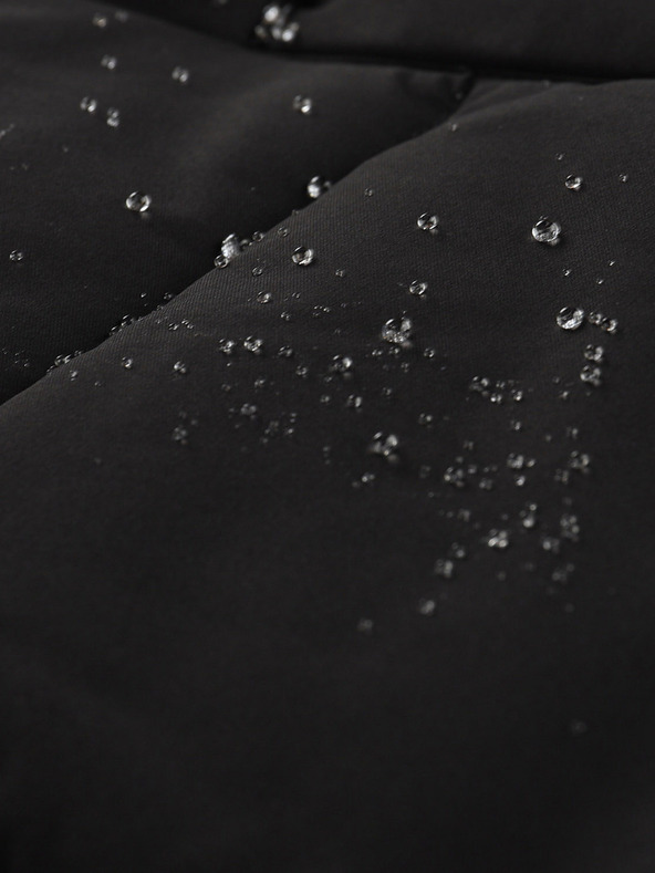 ALPINE PRO Damenjacke mit Ptx-Membran ALPINE PRO SAPTAHA schwarz pb