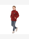 ALPINE PRO Kinder-Sweatshirt supratherm ALPINE PRO FERADO merlot