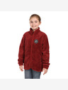 ALPINE PRO Kinder-Sweatshirt supratherm ALPINE PRO FERADO merlot