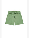 Moodo Grüne Moodo-Shorts für Damen