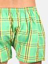Styx Hellgrün karierte Herren-Shorts Styx