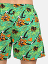 Styx Grüne Herren Home Shorts mit Taschen Styx Tropic