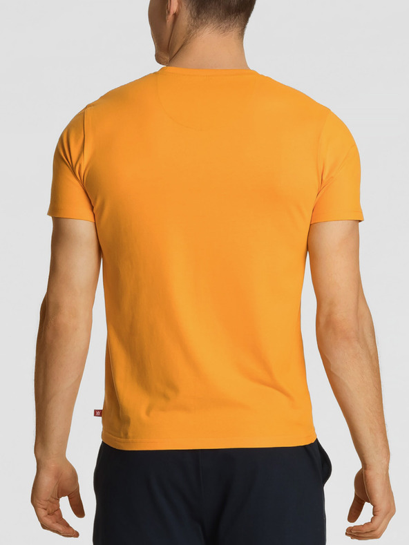 Atlantic Kurzarm-T-Shirt ATLANTIC für Männer