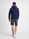 GAP Herren Sweatshirt mit GAP Logo und Kapuze