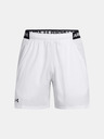 Under Armour Herren Under Armour UA Vanish Woven 6in Shorts