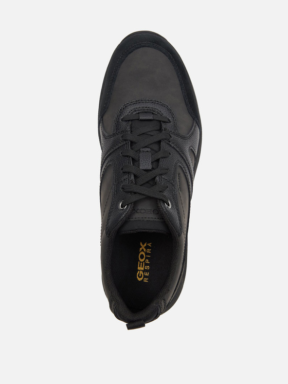 Geox Schwarz Herren Geox Molveno Turnschuhe