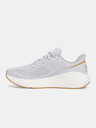 Under Armour Under Armour UA W Sonic 7 Schuhe für Frauen
