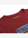 ALPINE PRO Schnelltrocknendes Herren-T-Shirt mit Cool Dry ALPINE PRO BOLEN 2 merlot Variante pb