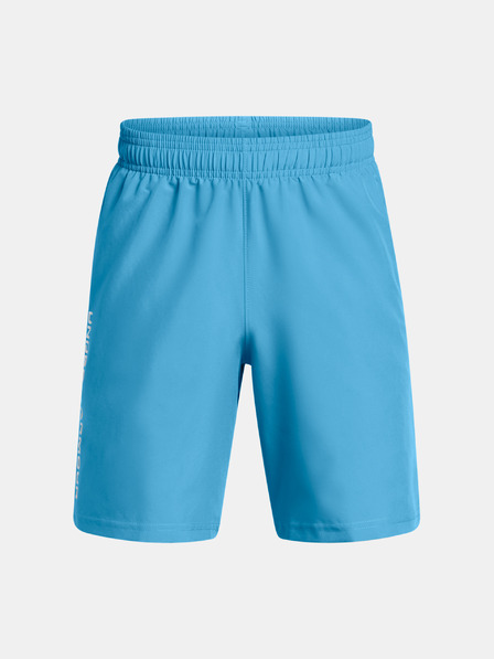 Under Armour Under Armour UA Tech Woven Wordmark Shorts für Jungen