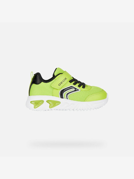 Geox Hellgrün Jungen Turnschuhe Geox Assister