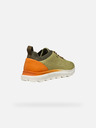 Geox Hellgrün Herren Geox Spherica Turnschuhe