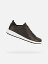 Geox Braun Herren Geox Aerantis Turnschuhe