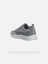 Geox Hellgraue Herren Geox Spherica Turnschuhe