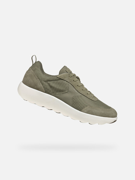 Geox Hellgrün Herren Turnschuhe Geox Xtors