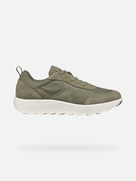 Geox Hellgrün Herren Turnschuhe Geox Xtors