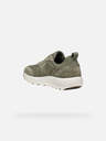 Geox Hellgrün Herren Turnschuhe Geox Xtors