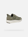 Geox Hellgrün Herren Turnschuhe Geox Xtors