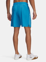 Under Armour Herren Under Armour UA Tech Woven Wordmark Short