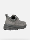 Geox Grau Herren Geox Spherica Actif Turnschuhe