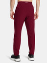 Under Armour Herren Under Armour UA OUTRUN THE STORM PANTS-ROT